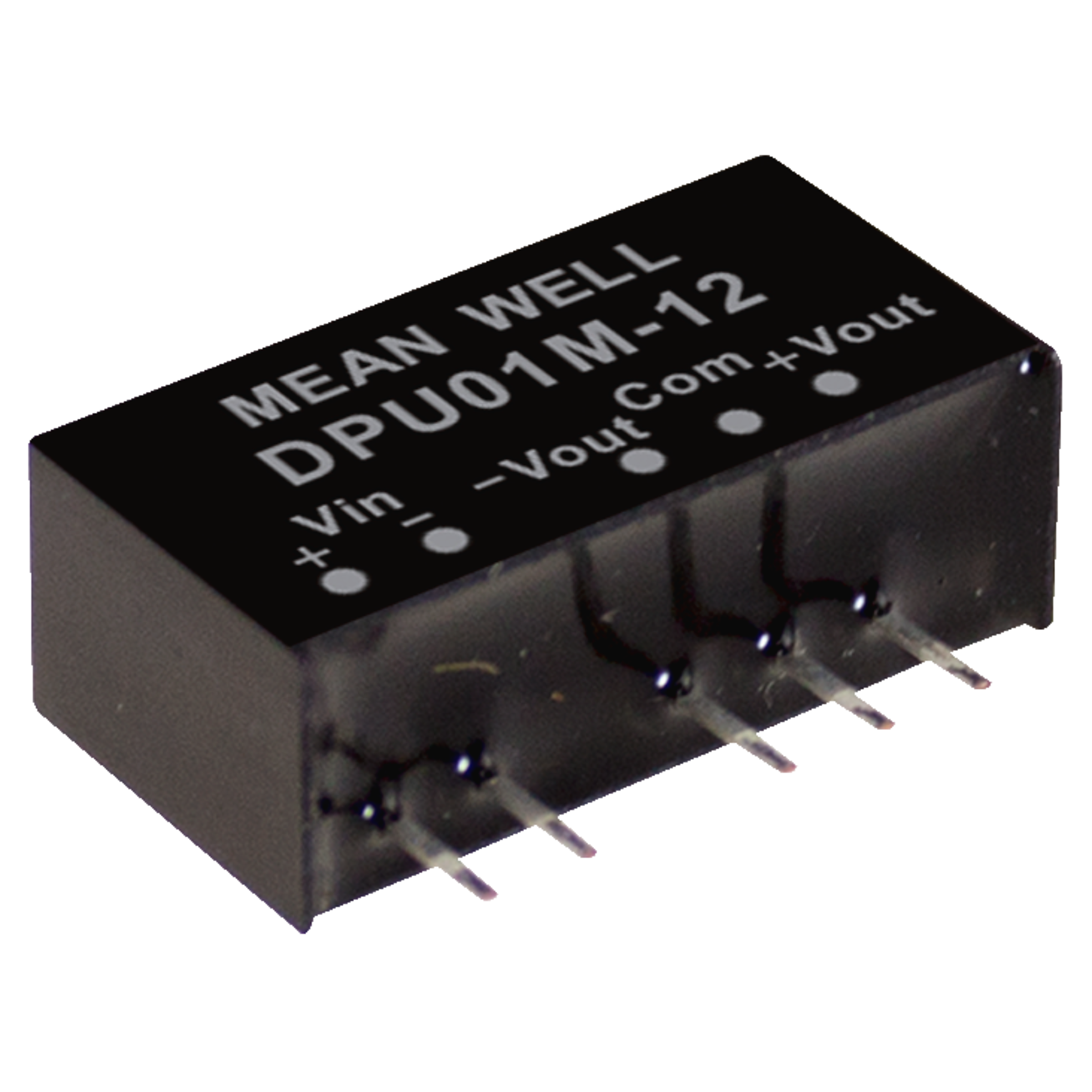 DPU01L-12