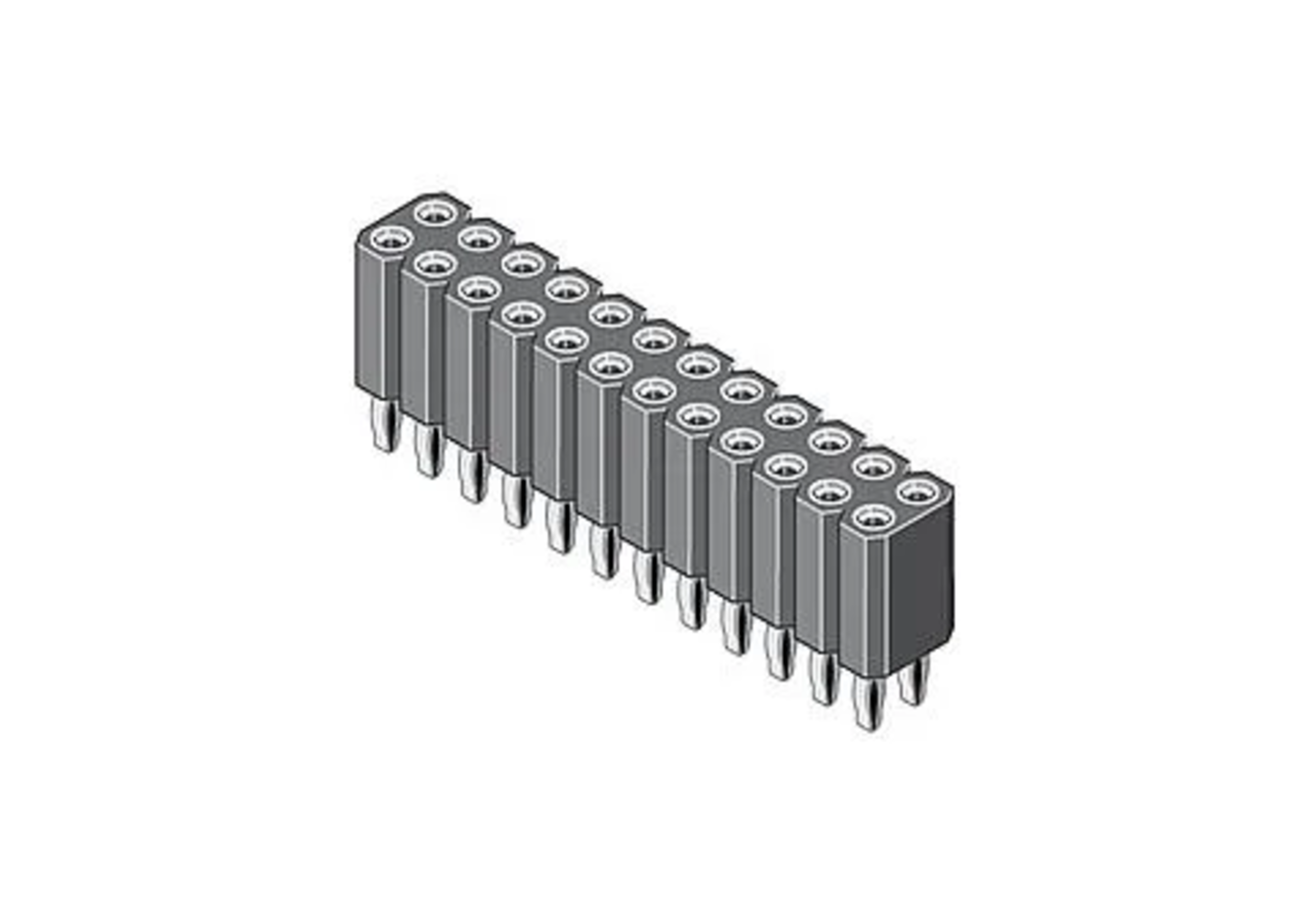 BL2X36PZ-P