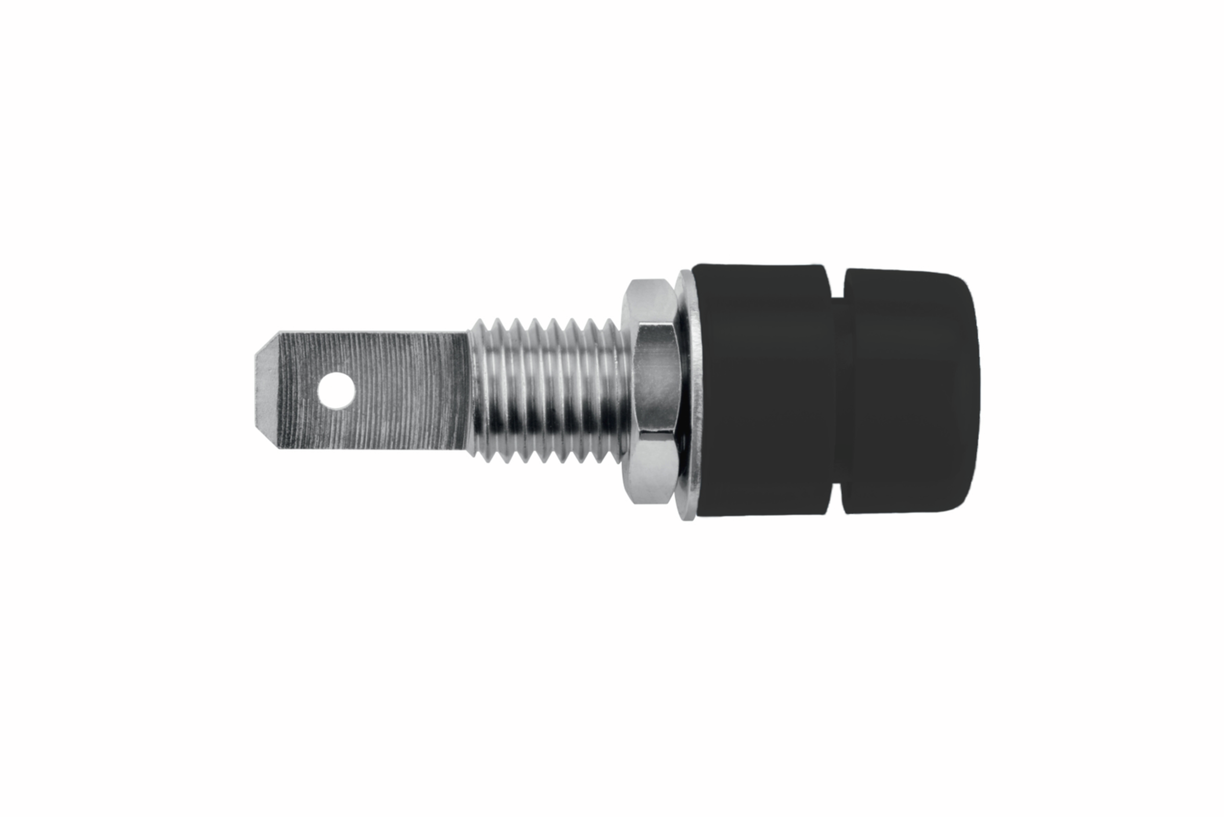 IBU5568NI/SW
