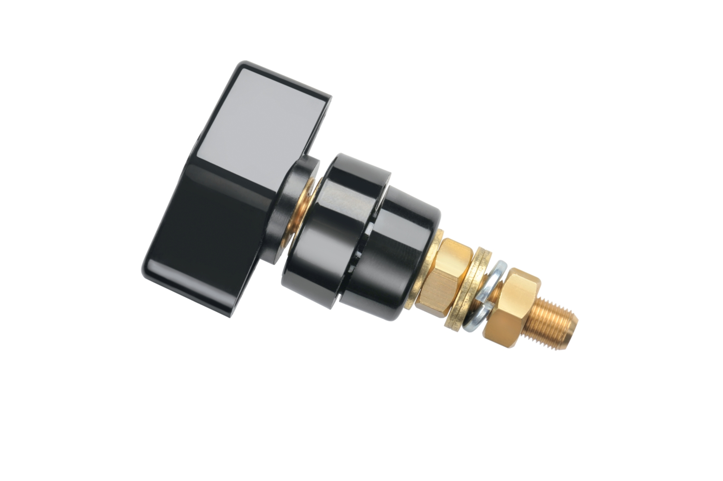 POL102/SW