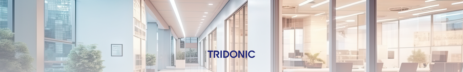 Herobanner mit beleuchtetem Bürogebäude und Tridonic-Logo. Das Bild steht für intelligente und effiziente Lichtlösungen. Herobanner mit beleuchtetem Bürogebäude und Tridonic-Logo. Das Bild steht für intelligente und effiziente Lichtlösungen.