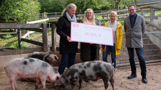 Four people present a €58,500 donation cheque from MEAN WELL and Schukat to the Heinz Sielmann Foundation in an animal enclosure, with several pigs in the foreground.