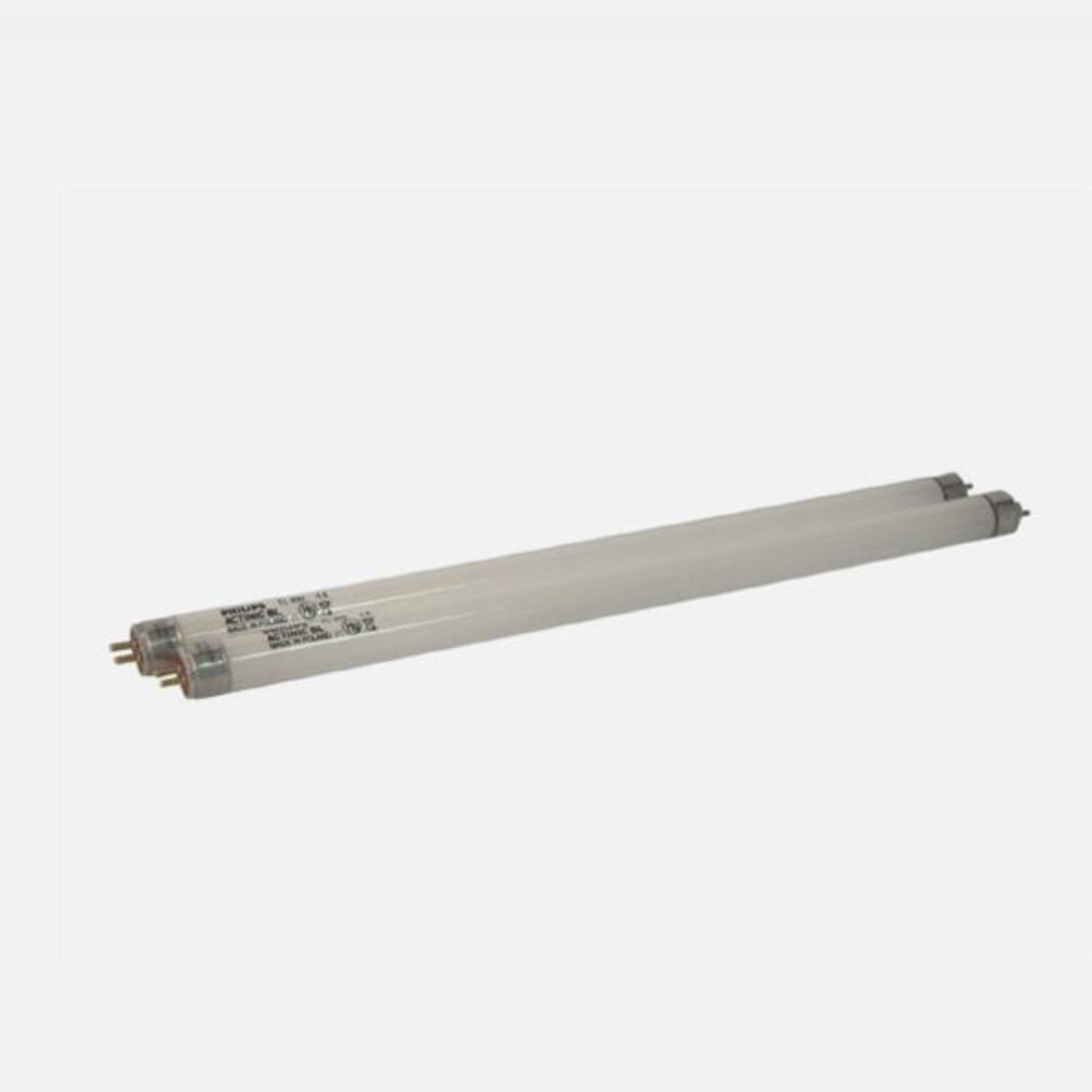 BEL41017
