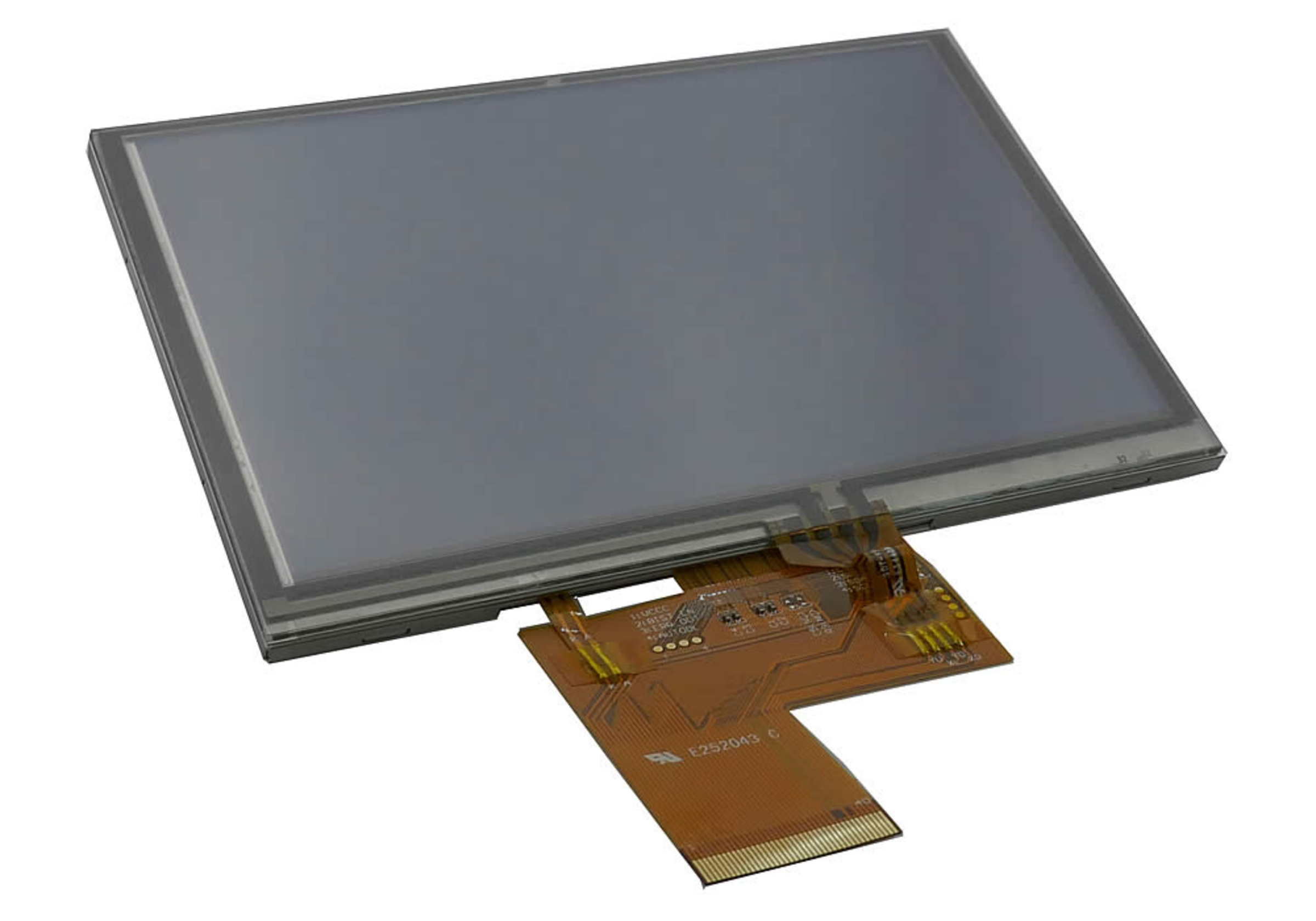 DEM800480Q4VMXPWNT